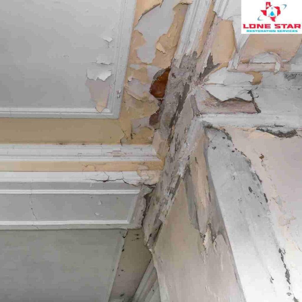 Ceiling Water Damage Repair